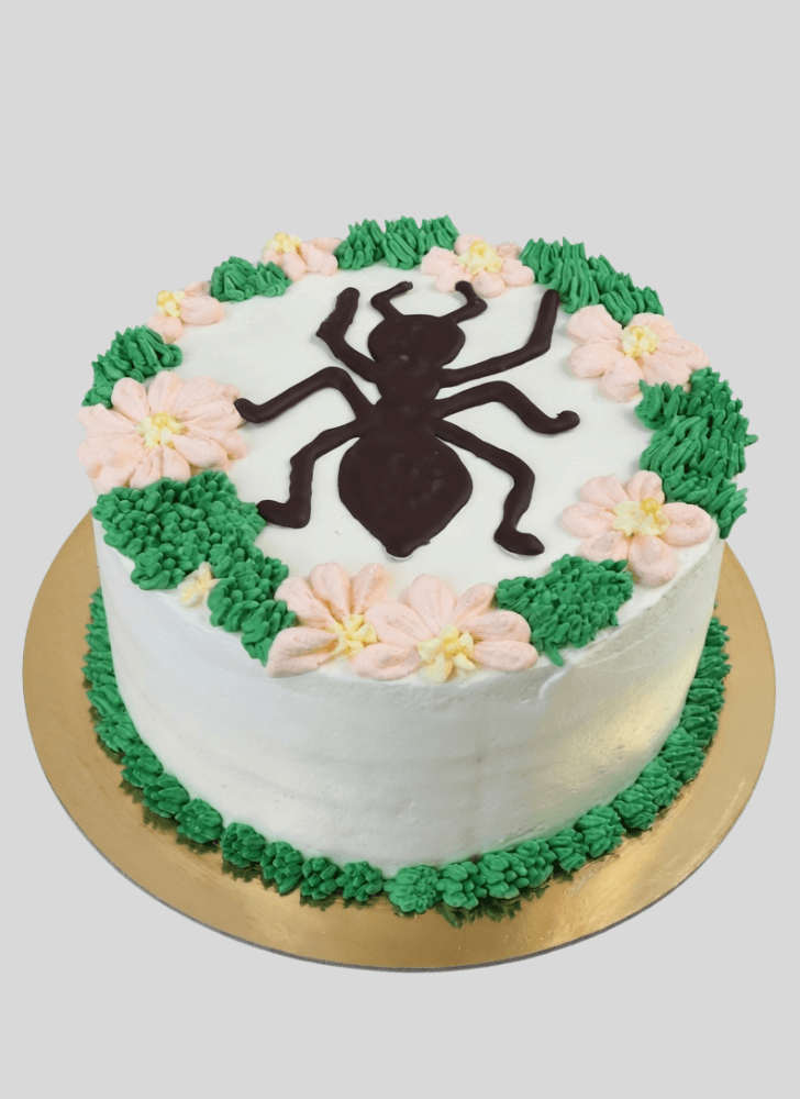 Bewitching Ant Cake