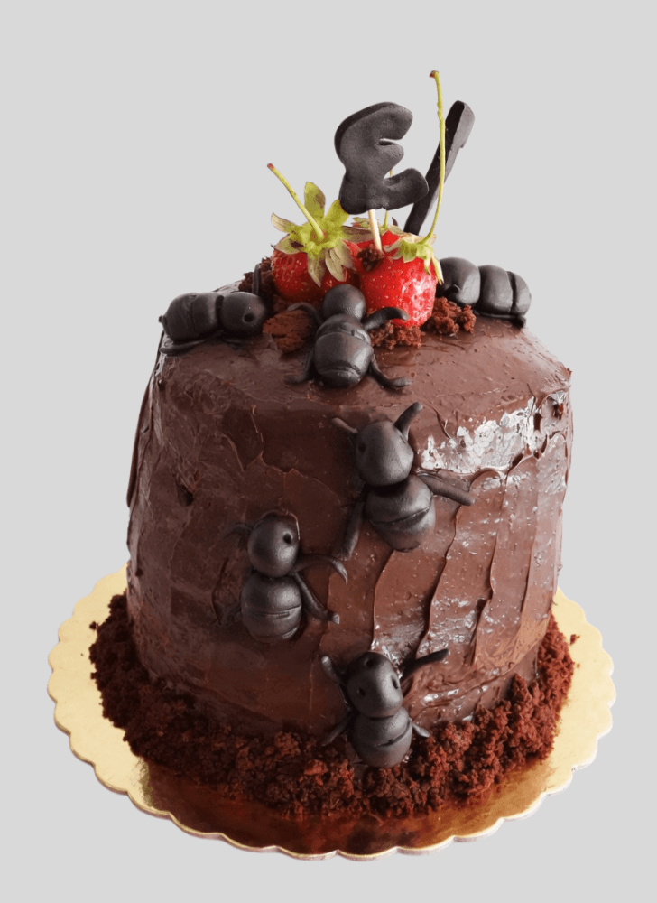 Classy Ant Cake