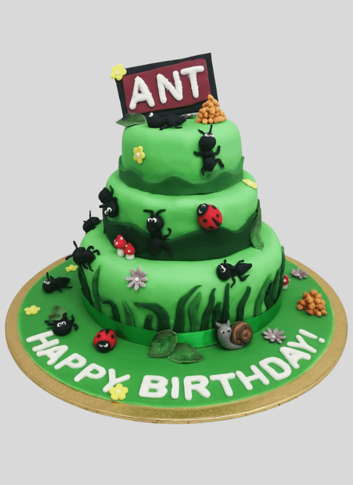 Comely Ant Cake
