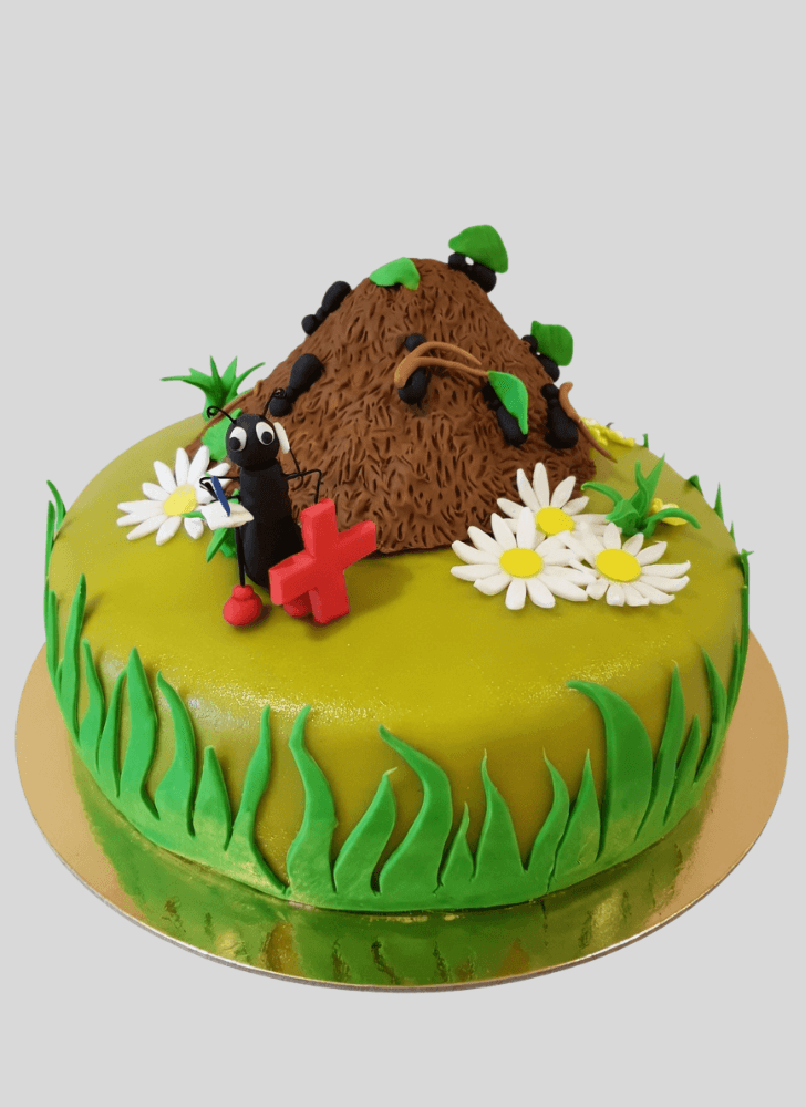 Cute Ant Cake