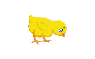 Chick
