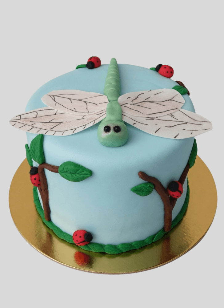 Admirable Dragonfly Cake Design