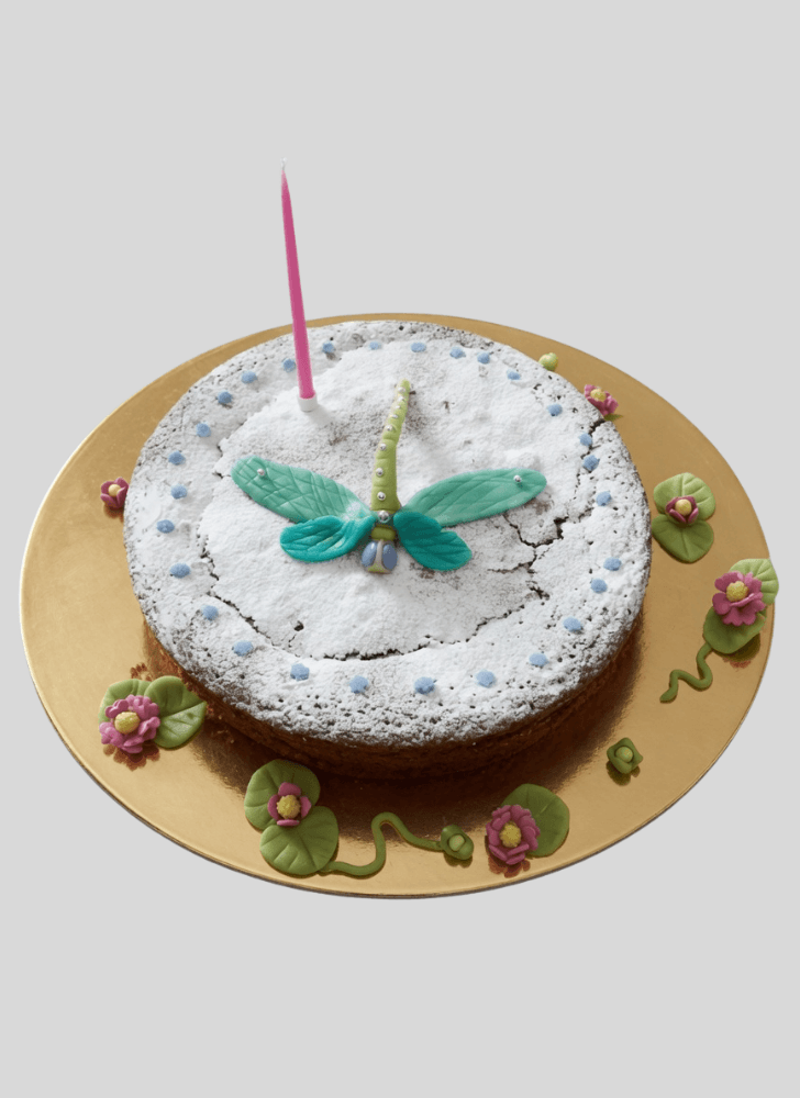 Cute Dragonfly Cake