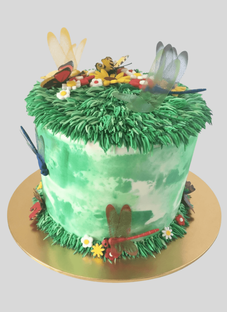 Gorgeous Dragonfly Cake