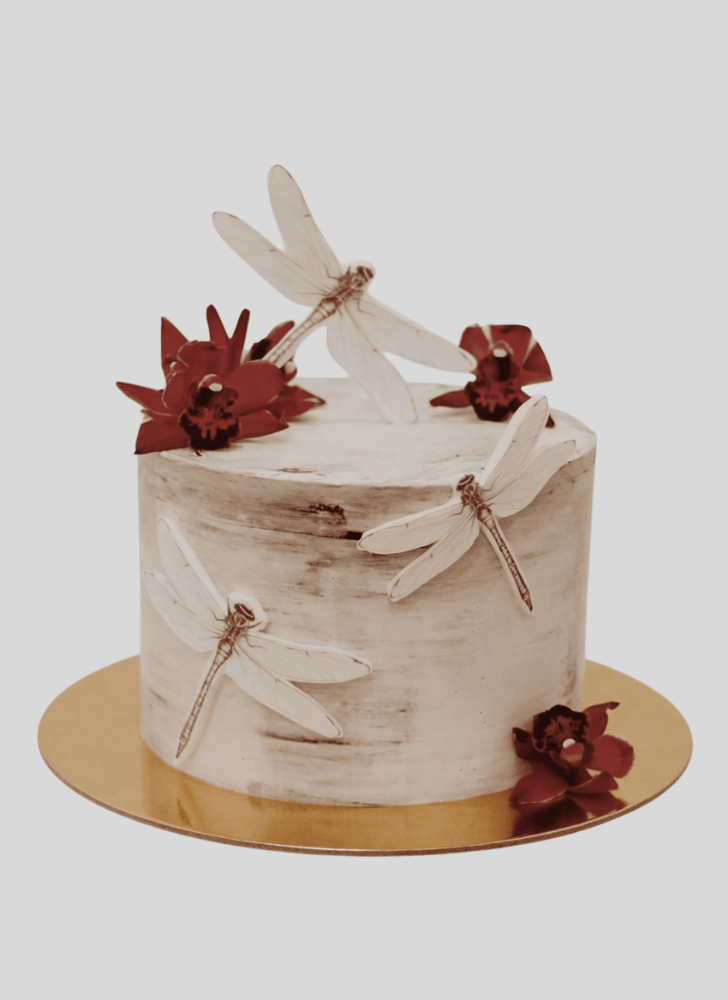 Handsome Dragonfly Cake
