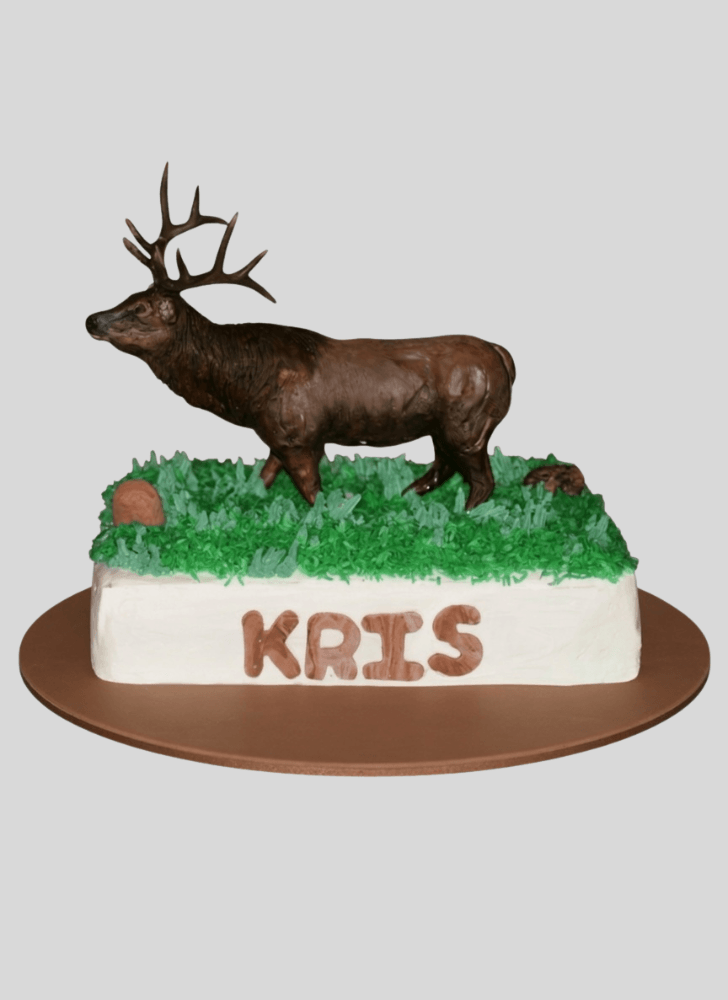 Bewitching Elk Cake