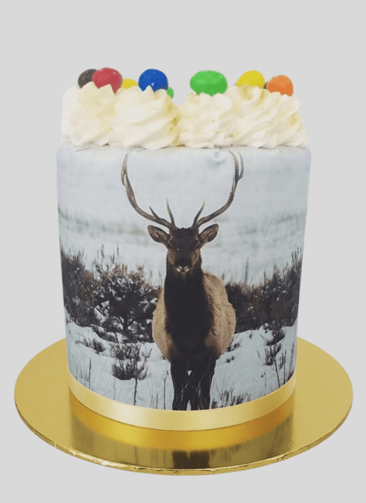Enthralling Elk Cake
