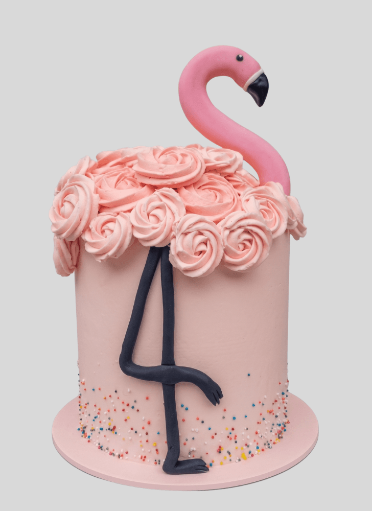Magnetic Flamingo Cake