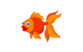 Goldfish