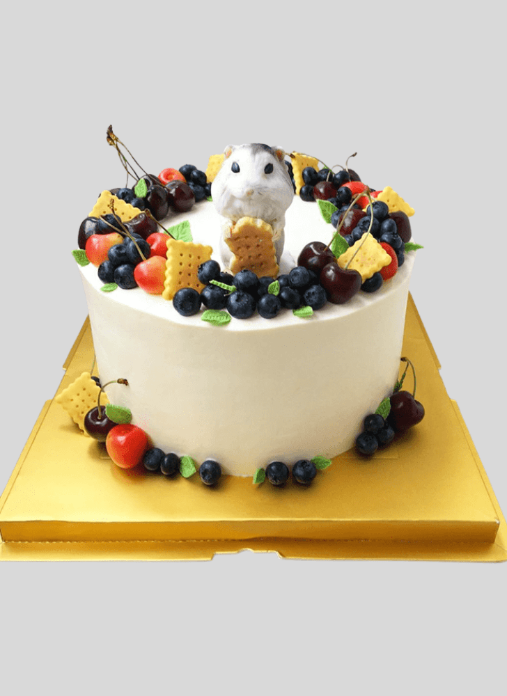 Enticing Hamster Cake