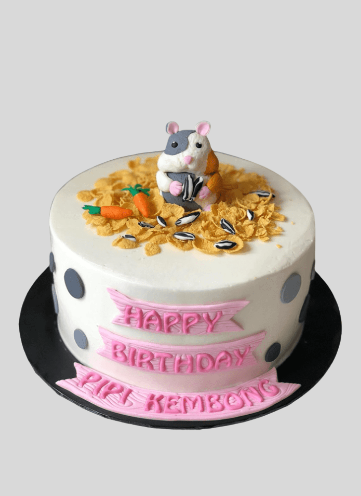 Good Looking Hamster Cake