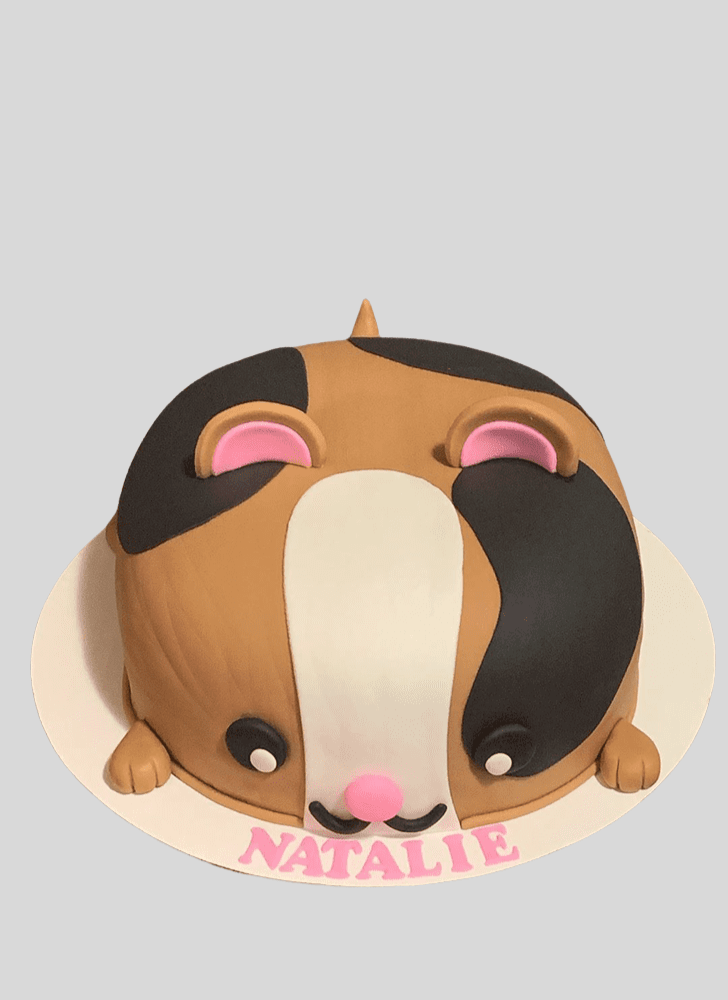 Gorgeous Hamster Cake