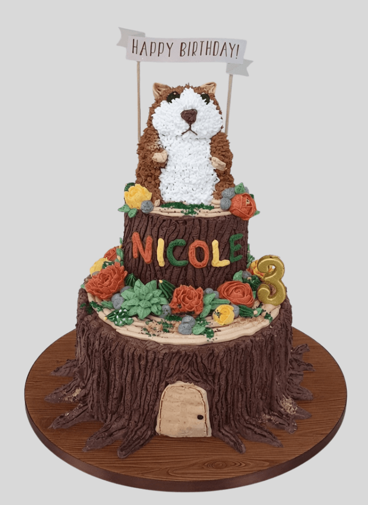 Inviting Hamster Cake