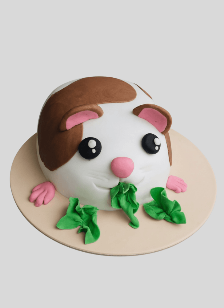 Magnetic Hamster Cake