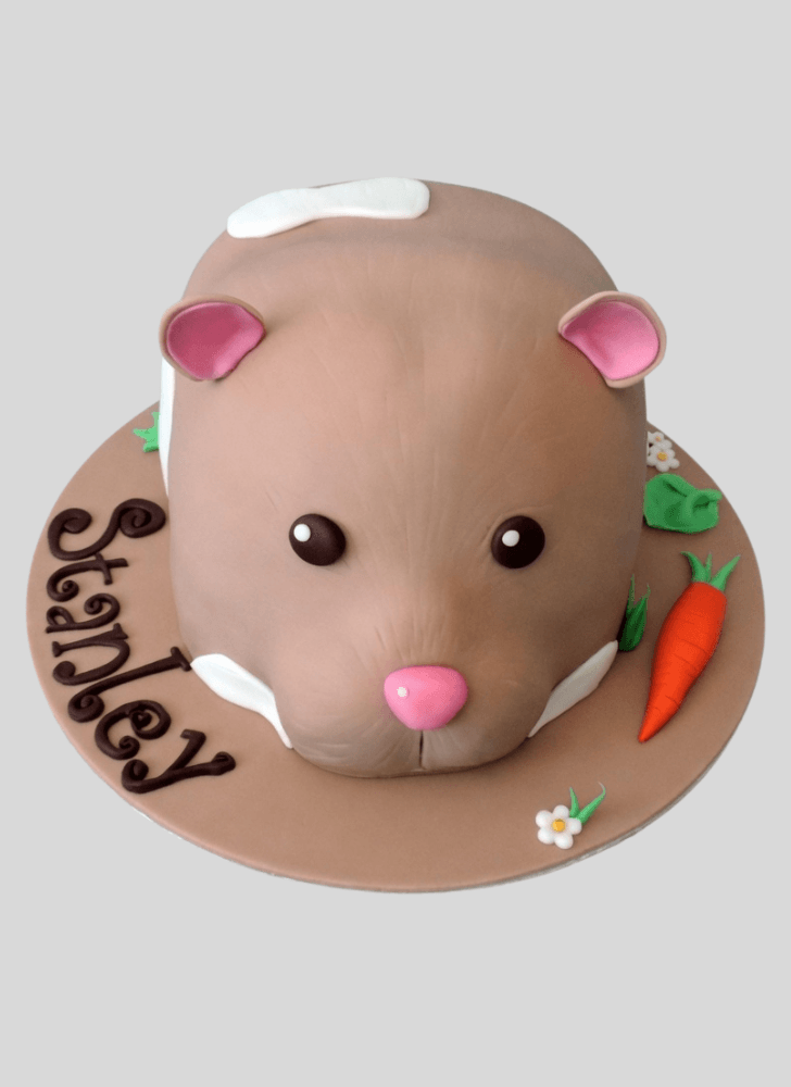 Refined Hamster Cake