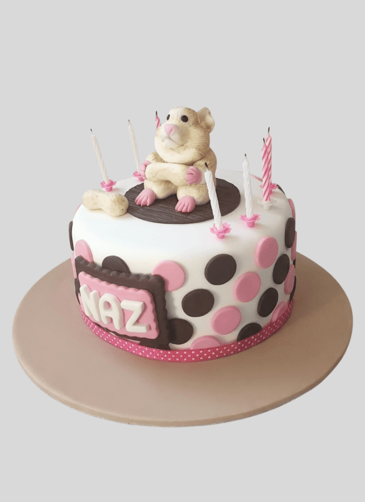 Shapely Hamster Cake