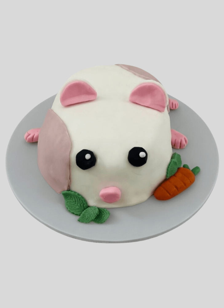Slightly Hamster Cake
