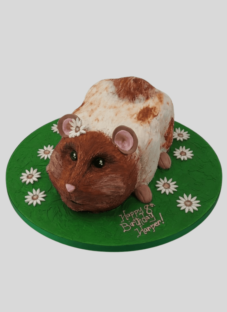 Wonderful Hamster Cake Design