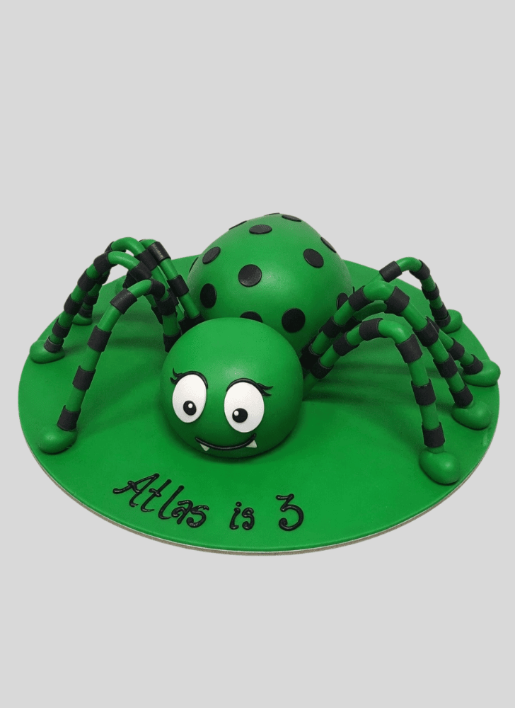 Beauteous Spider Cake