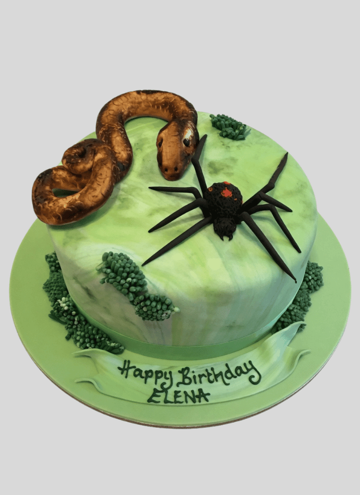 Captivating Spider Cake