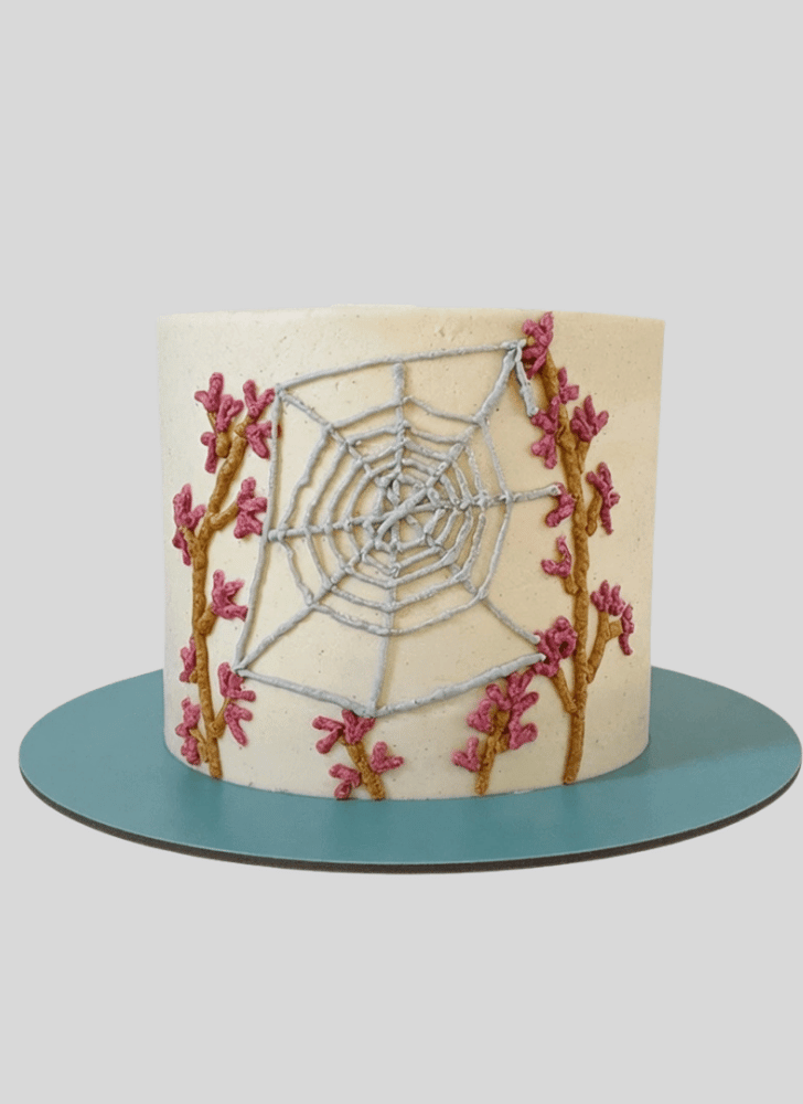 Comely Spider Cake