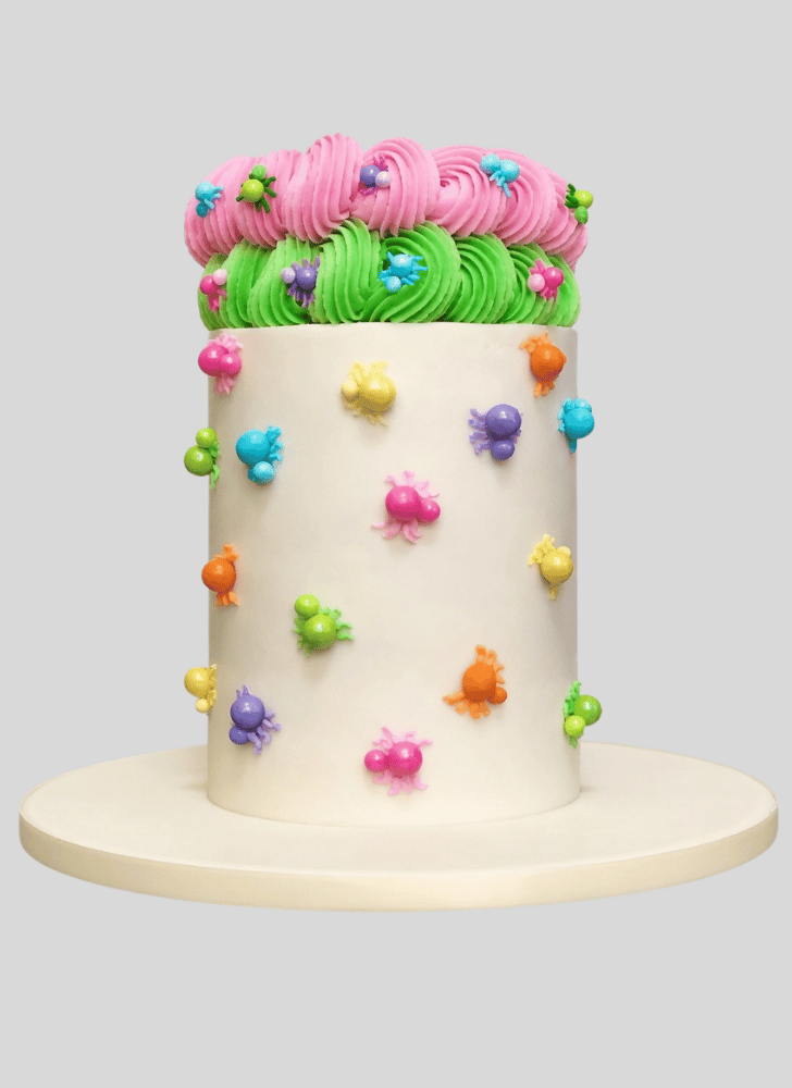 Delicate Spider Cake