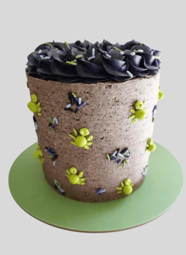 Exquisite Spider Cake