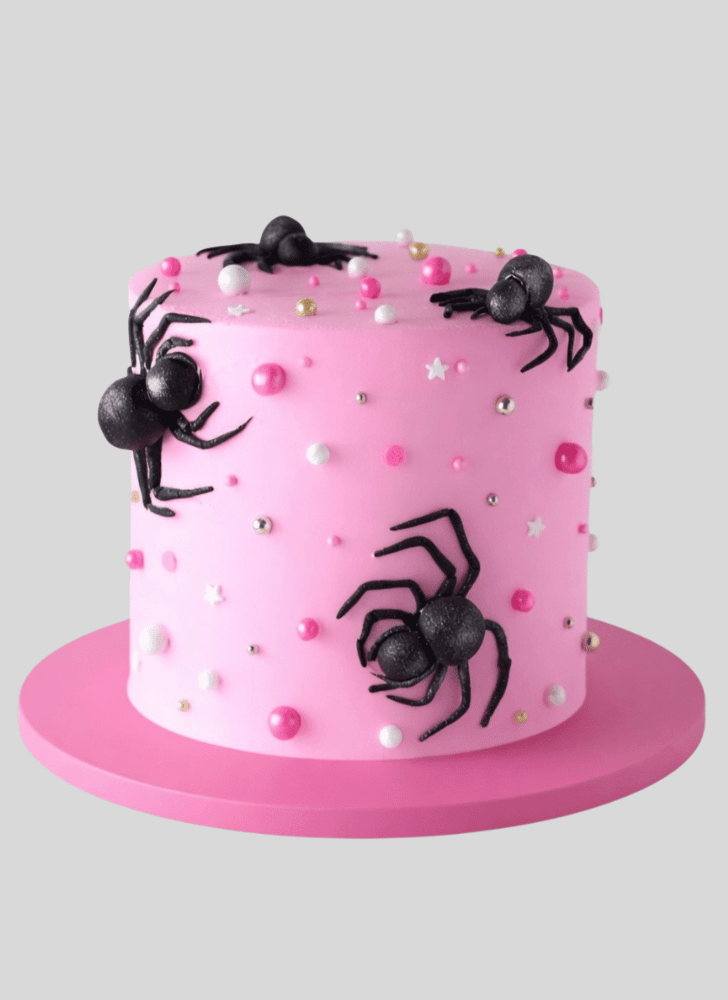 Fair Spider Cake