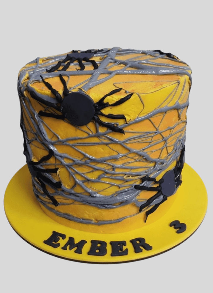 Fetching Spider Cake
