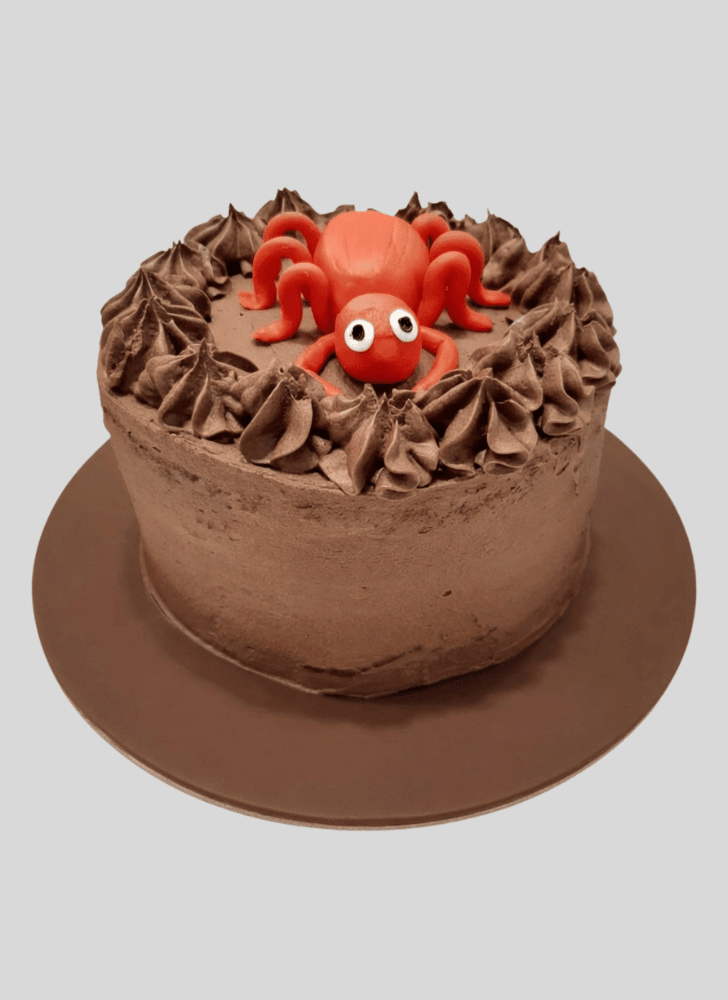 Gorgeous Spider Cake