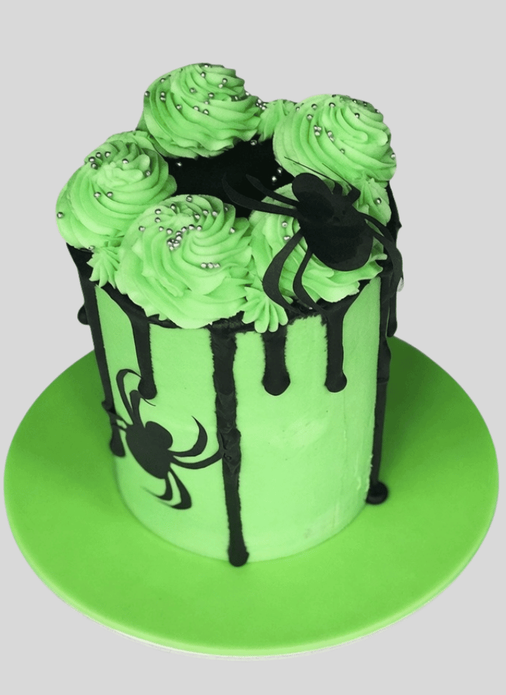 Handsome Spider Cake