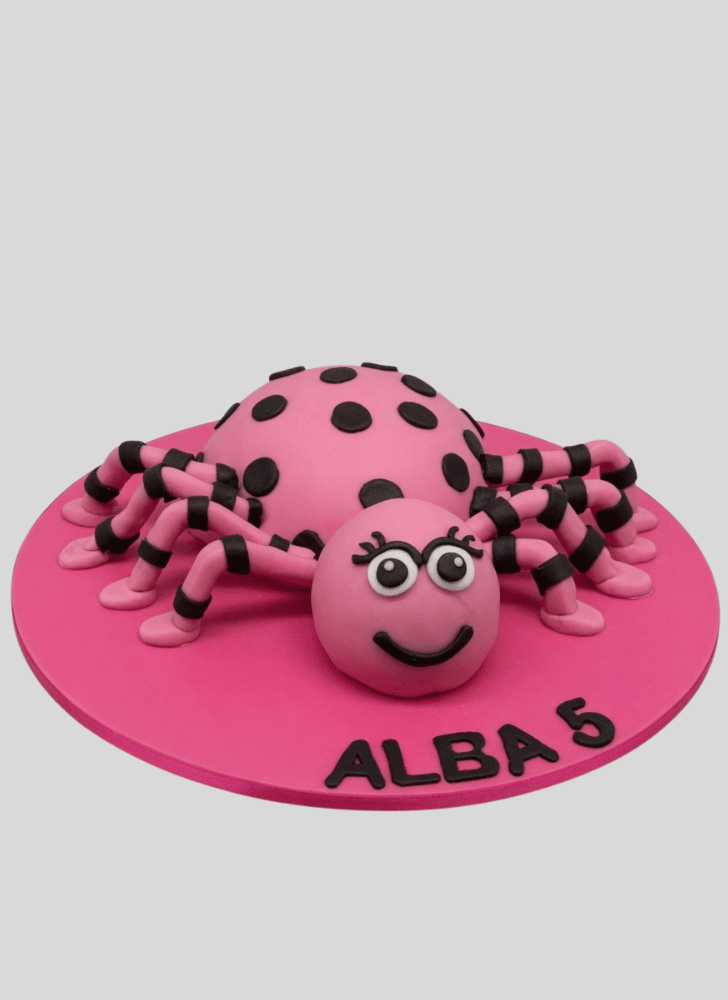 Lovely Spider Cake Design