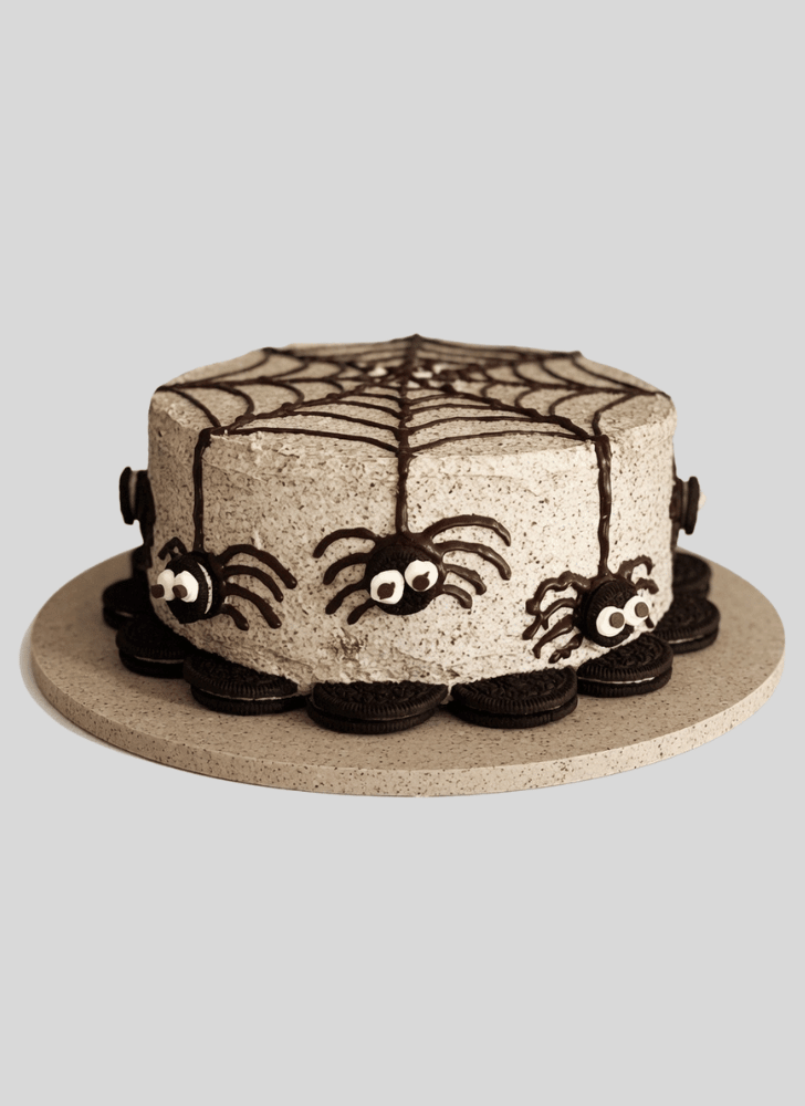 Magnetic Spider Cake