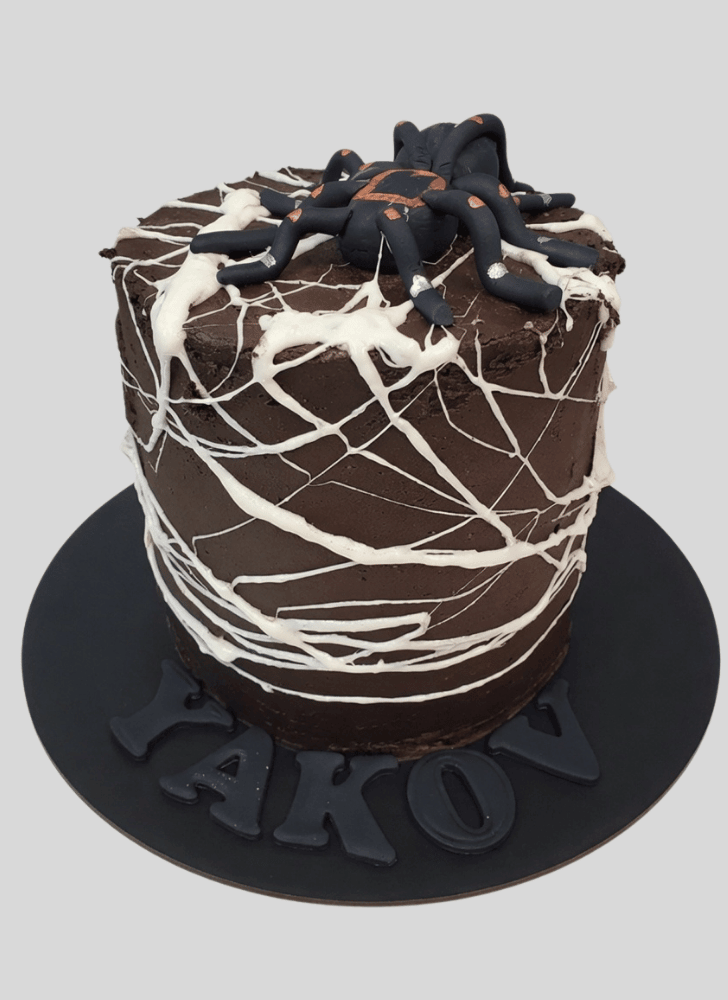 Nice Spider Cake