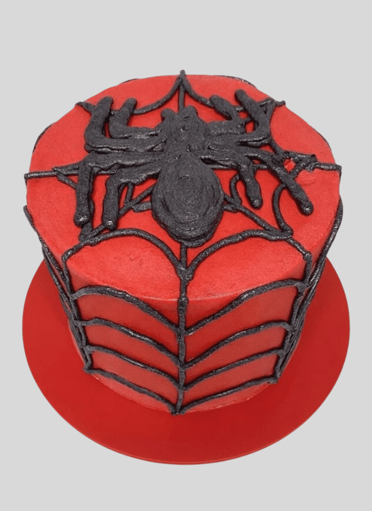 Splendid Spider Cake