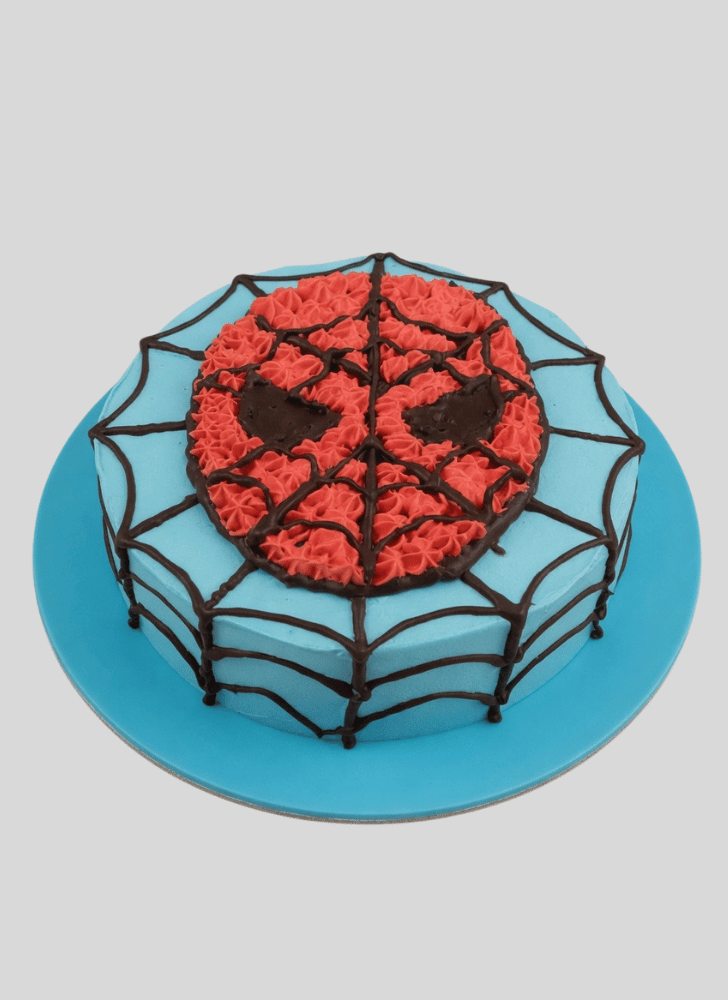 Wonderful Spider Cake Design