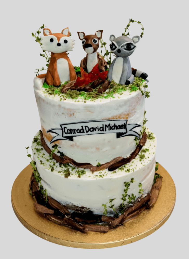 Dazzling The Fox and the Hound Cake