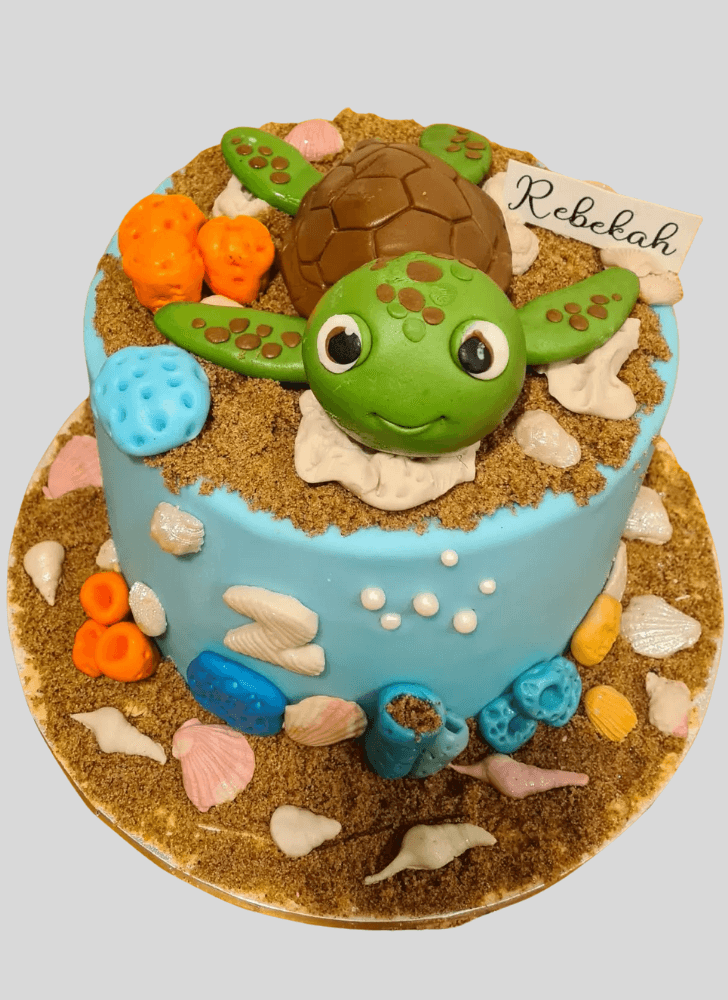 Beauteous Turtle Cake