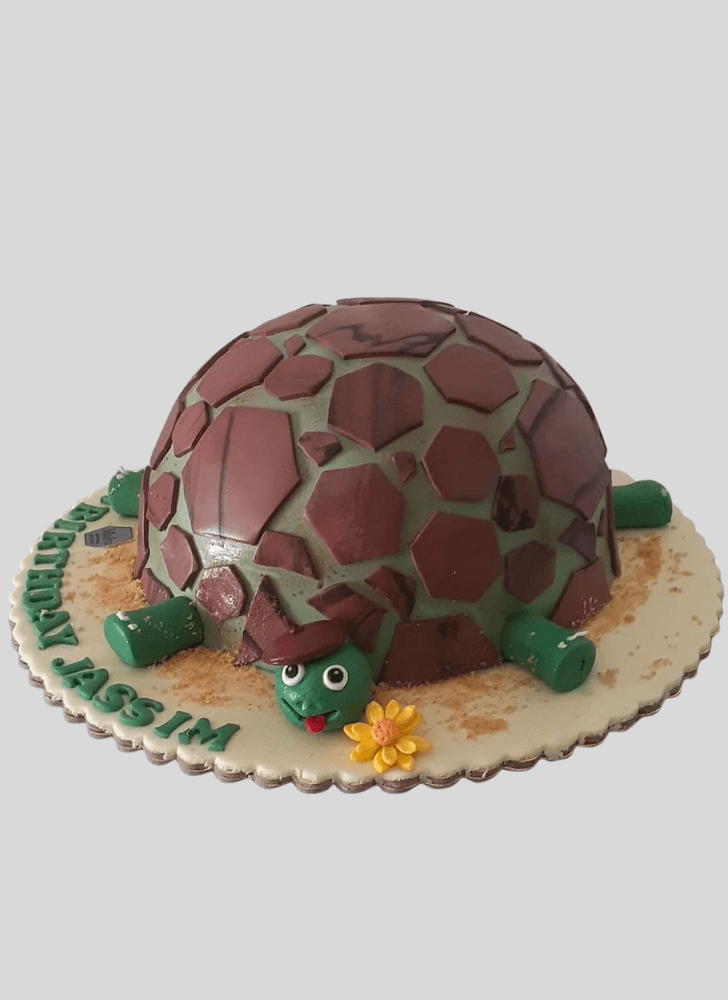 Bewitching Turtle Cake