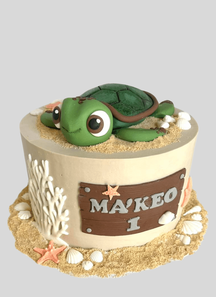 Classy Turtle Cake