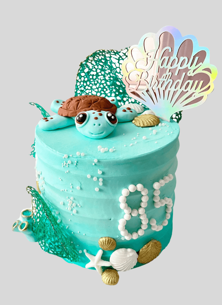 Delicate Turtle Cake