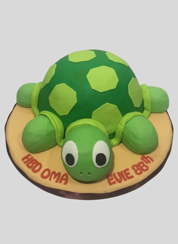 Elegant Turtle Cake