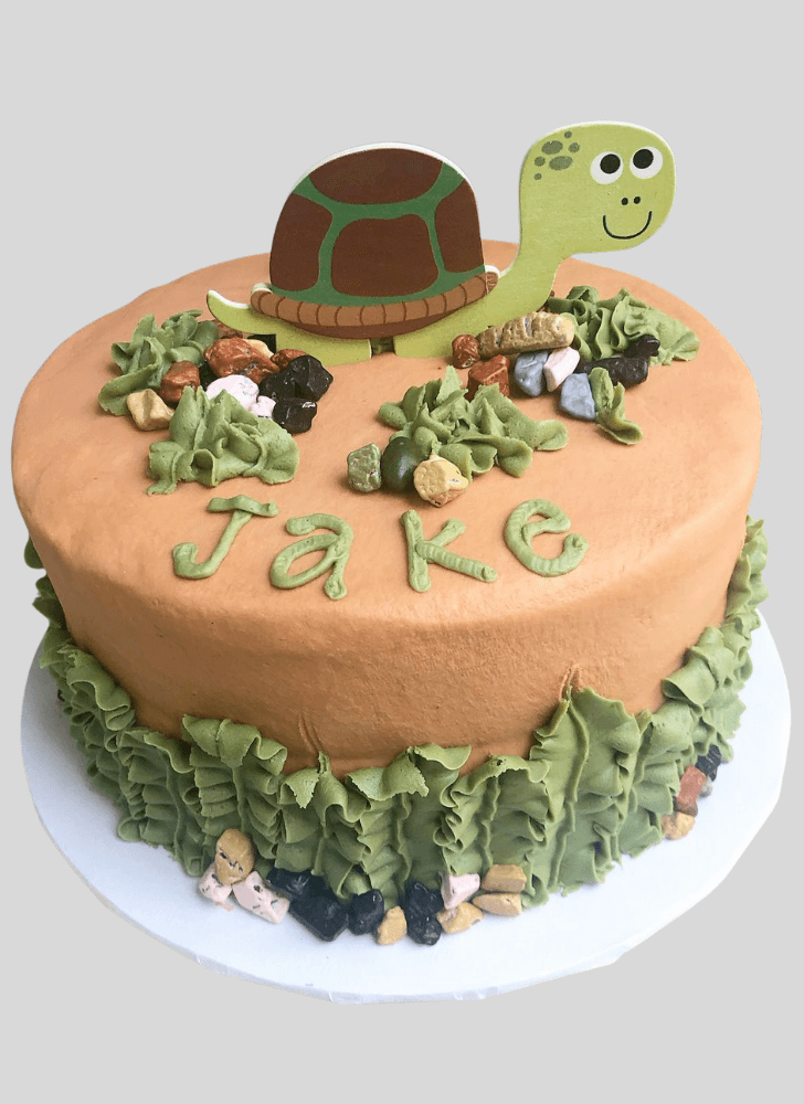 Excellent Turtle Cake