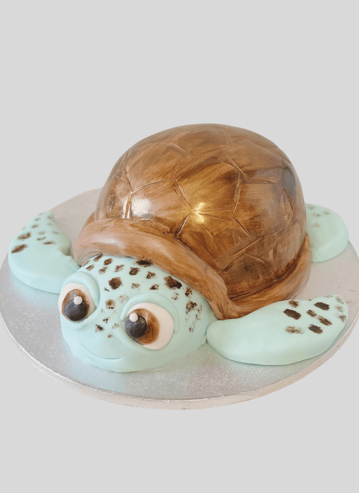 Fair Turtle Cake