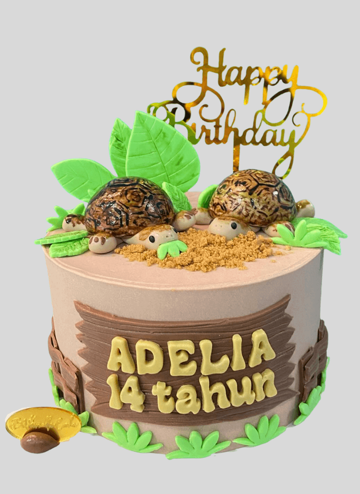 Fascinating Turtle Cake