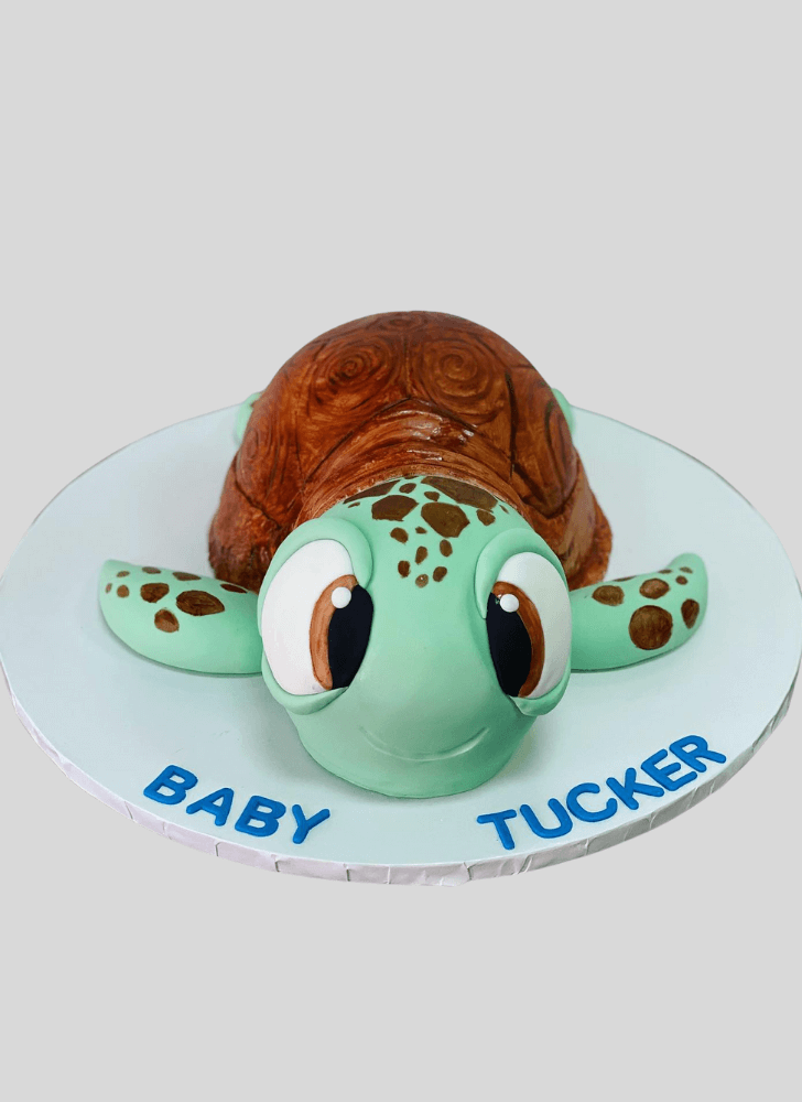 Fetching Turtle Cake