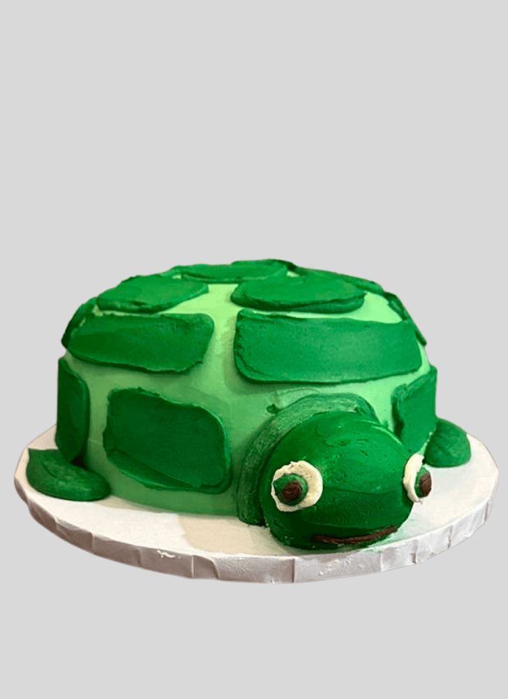 Good Looking Turtle Cake