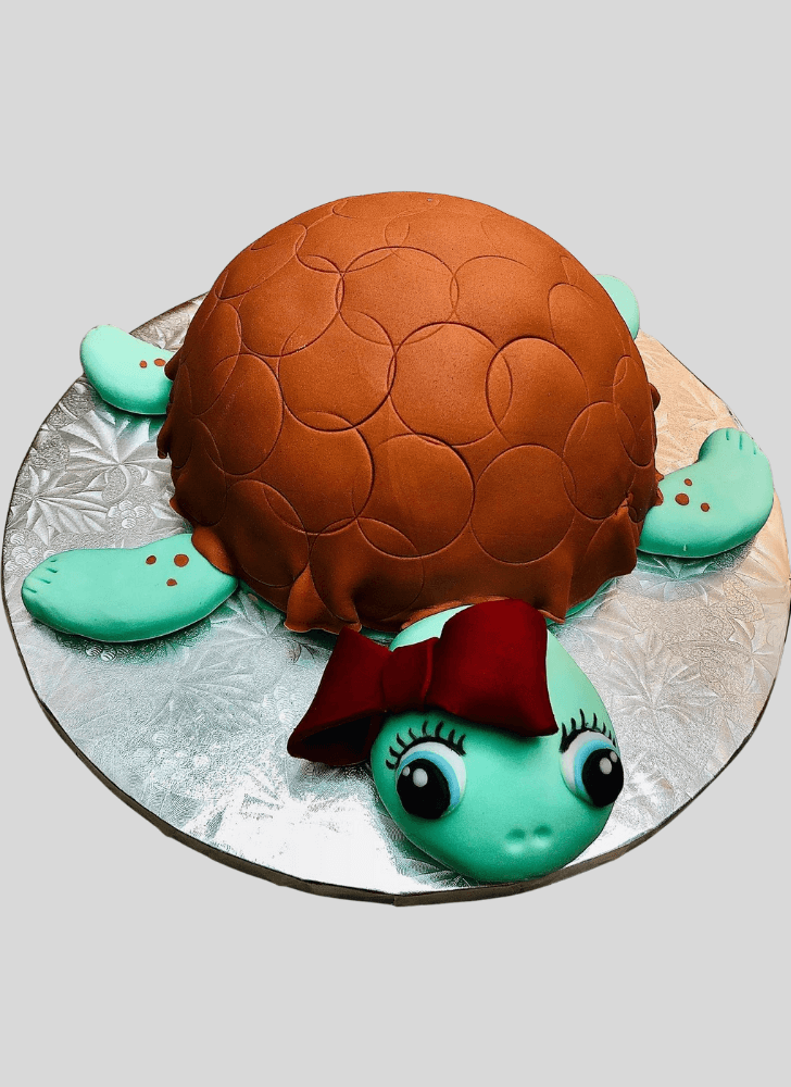 Graceful Turtle Cake
