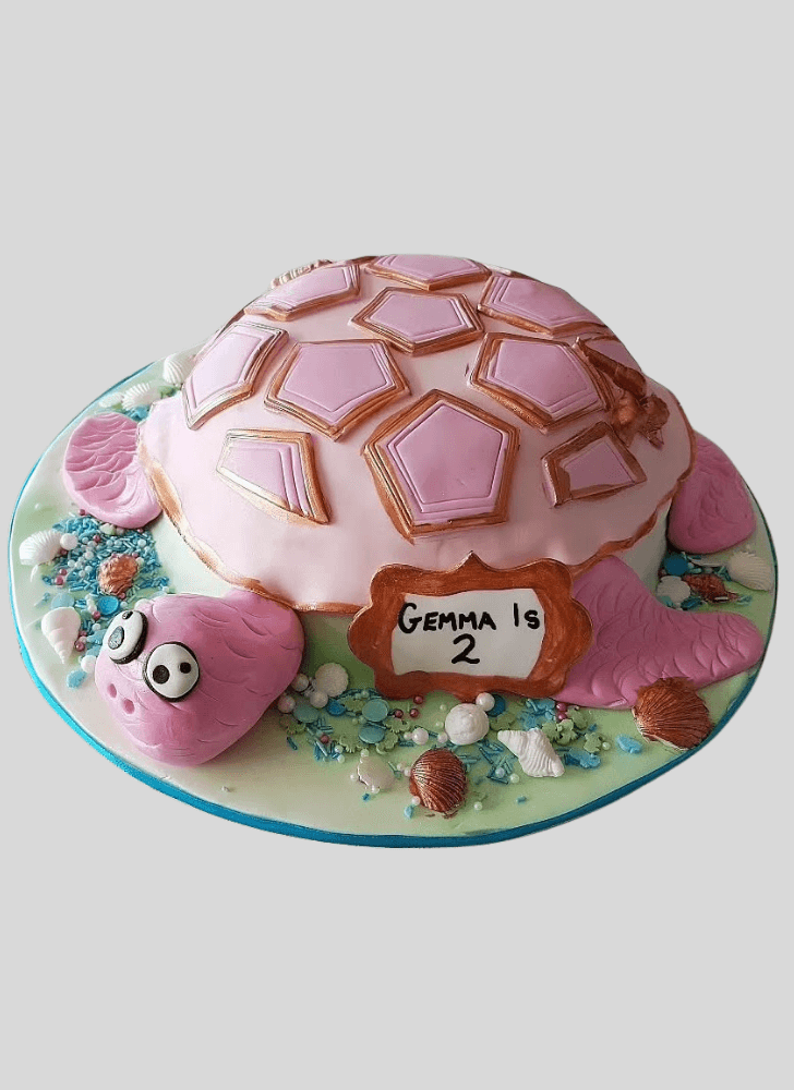 Handsome Turtle Cake
