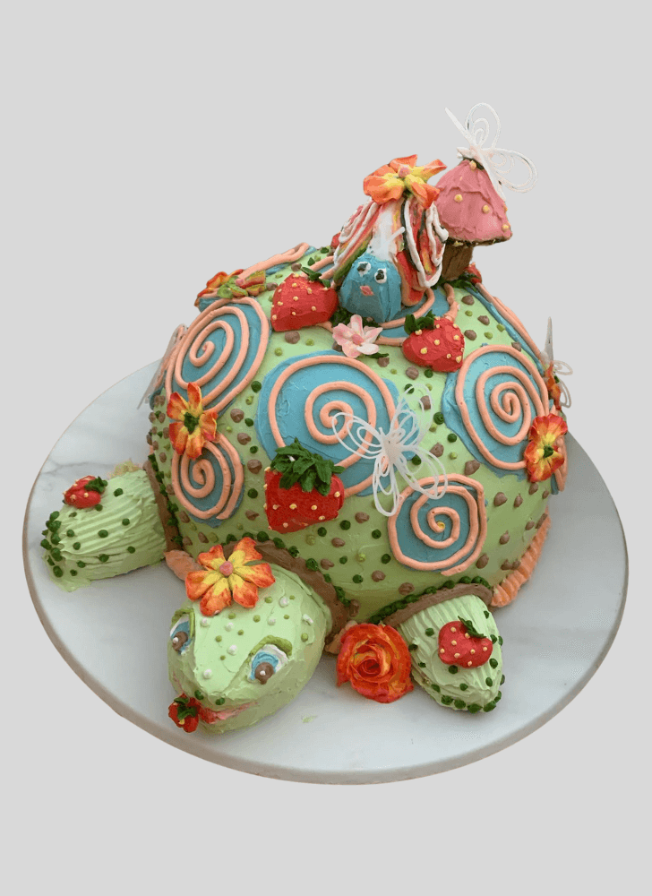 Ideal Turtle Cake